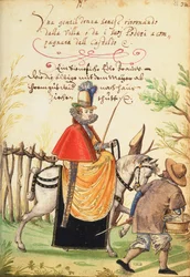 MS W.477 fol.31 Illustration du 